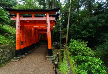Torii kapılarında Fushimi Inari-Taish tapınak Kyoto Japonya'da