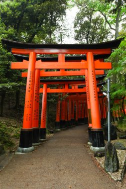 Torii kapılarında Fushimi Inari-Taish tapınak Kyoto Japonya'da
