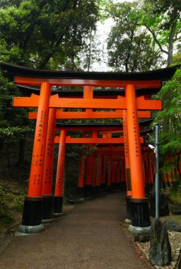 Torii kapılarında Fushimi Inari-Taish tapınak Kyoto Japonya'da