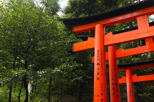 Torii gates at Fushimi Inari-Taish shrine in Kyoto Japan — Stock Photo, Image