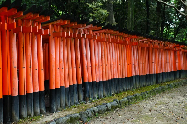 Torii gates at Fushimi Inari-Taish shrine in Kyoto Japan — Stock Photo, Image