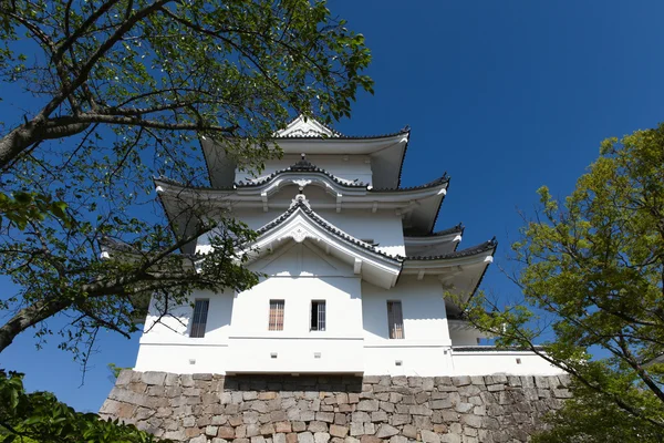 The original Ninja castle of Iga Ueno — Stock Photo, Image
