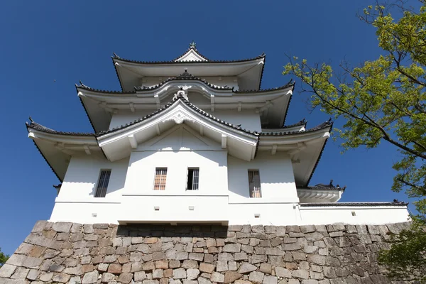 De oorspronkelijke Ninja kasteel van Iga Ueno — Stockfoto