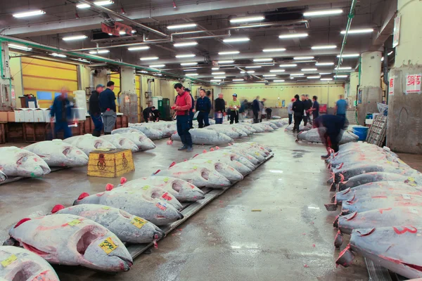 Tuna inspector at Famous Tuna auction, Tsukiji fish market - Tokyo, Japan — Stock Photo, Image