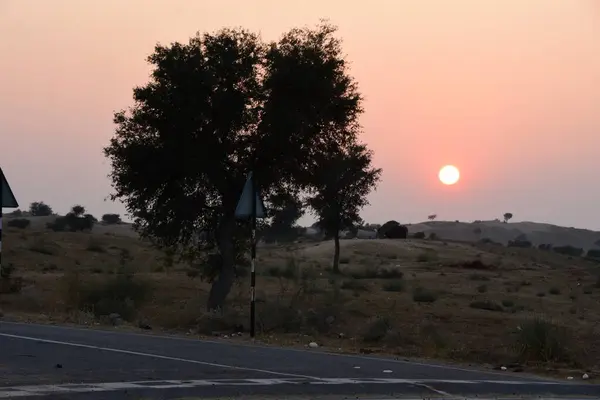 Rajasthan 'ın kum tepelerinde güneşin doğuşunun güzel manzarası