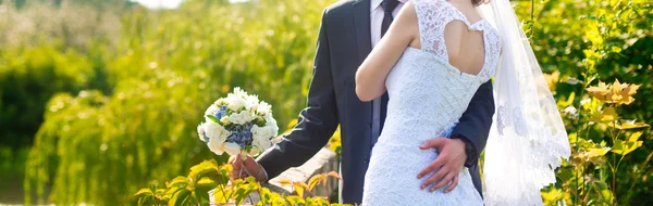 Pareja de boda — Foto de Stock