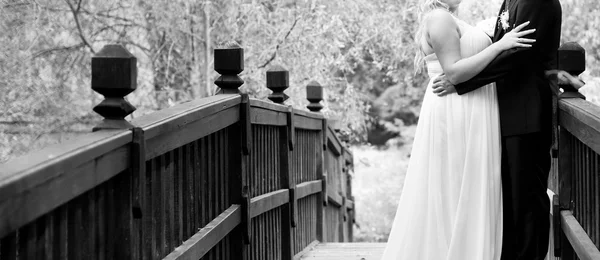 Wedding couple in love — Stock Photo, Image