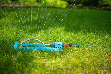 Güneşli bir yaz gününde yeşil bahçe fıskiyesini otomatik sulama.