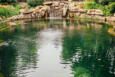 Yazın parkta güzel bir gölet