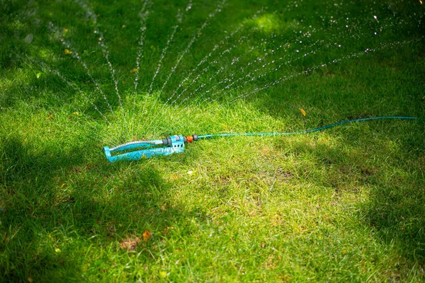 Automatische Bewässerung Des Grünen Rasengartens Einem Sonnigen Sommer — Stockfoto