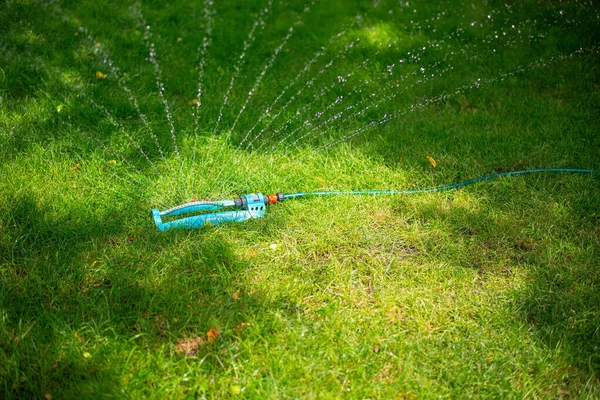 在阳光明媚的夏天自动给绿色草坪花园洒水 — 图库照片