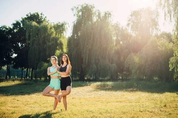 Mujeres Practicando Yoga Parque Ejercicio Deportivo —  Fotos de Stock