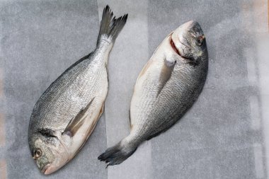 Gri arka planda çiğ balık. en üstteki görünüm.