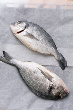 Gri arka planda taze balık. en üstteki görünüm.