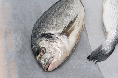 Gri arka planda taze balık. en üstteki görünüm.