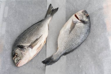 Gri arka planda taze balık. en üstteki görünüm.