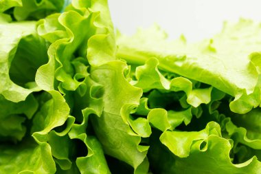 Beyaz arkaplanda yeşil marul yaprakları