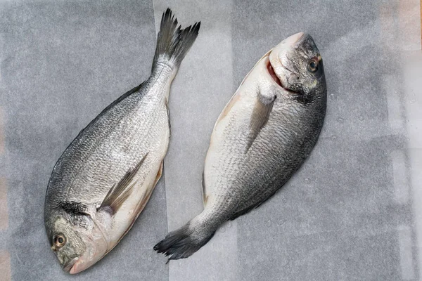 Gri arka planda çiğ balık. en üstteki görünüm.