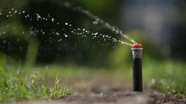 Bir bahçe fıskiyesinin gerçek özünü yakalamak çok güzel bir şekilde su ve tasarım mekanizmasını gözler önüne seriyor.