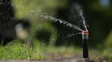 Canlı bir fıskiye verimli bir şekilde suluyor bereketli yeşil çimenleri yaz günlerinde güneşli bir açık havada.