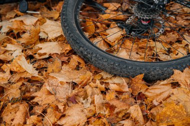 Kuru sonbahar yaprakları üzerinde dinlenen bir dağ bisikleti lastiğinin yakın çekimi açık hava macerasını, düşme bisikletini ve doğa keşiflerini sembolize ediyor..