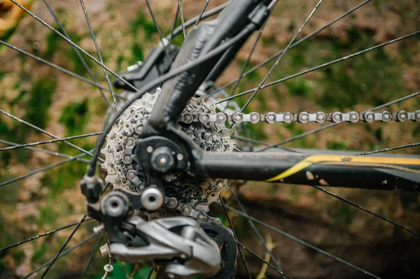 Arka kaset, zincir, raydan çıkarıcı, disk fren pervanesi ve kalibreyi vurgulayan bisiklet sürüş ve fren sisteminin yakın çekim görüntüsü. Mekanik detaylar işlevselliği ve tasarımı gösterir.