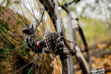 Yol üzerindeki bisiklet kaseti, çamur sıçrayan dişliler ve keskin konuşma detaylarıyla zincir, sığ alan derinliği bulanık sonbahara karşı donanımı izole eder.