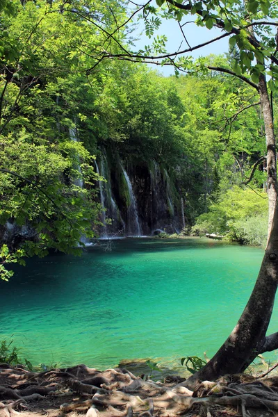 クロアチア プリトヴィツェ湖魔法に乗る — ストック写真