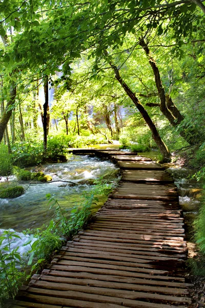 Lago de Plitvice paseo mágico, Croacia —  Fotos de Stock