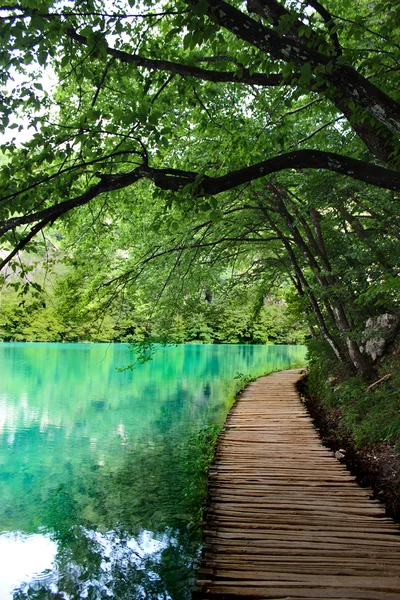 Järvi Plitvice maaginen ratsastaa, Kroatia — kuvapankkivalokuva