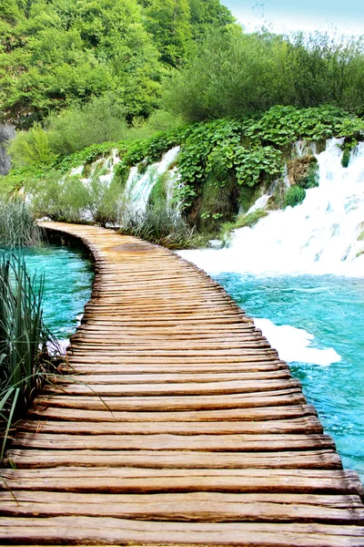 Lake van Plitvice magische rit, Kroatië — Stockfoto