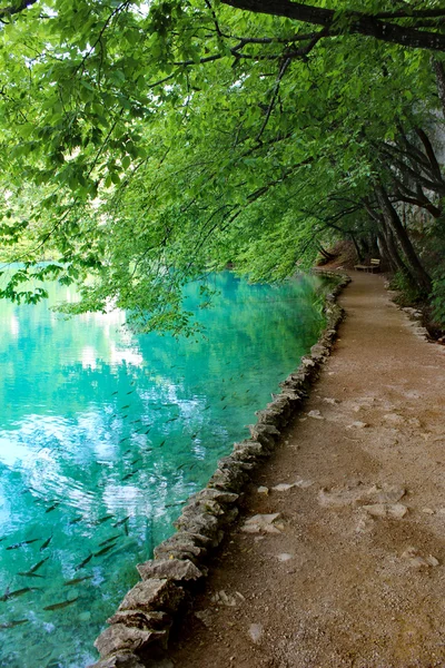 クロアチア プリトヴィツェ湖魔法に乗る — ストック写真