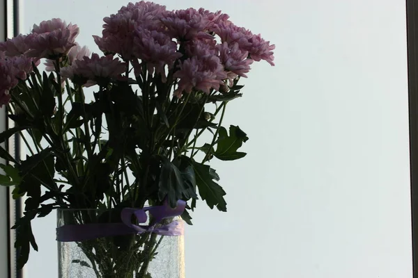 El ramo de los crisantemos pequeños rosados en el florero contra la ventana por el día —  Fotos de Stock