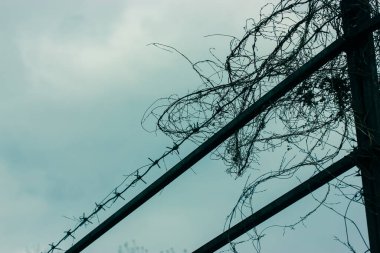 Metal dikenli tel, ilkbaharda ya da kışın bulutlu mavi bir gökyüzüne ve çitte bir deliğe karşı. Otoparkı, işi ya da hapishaneyi korumak.. 