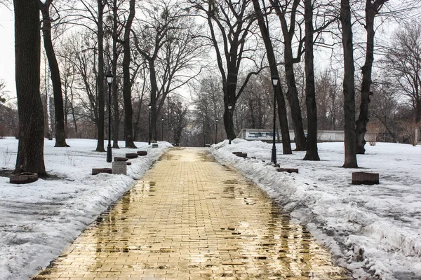 春が近づくにつれて、絵のように美しい公園、裸の木、融雪雪の道。2月または3月上旬ウクライナ,ヨーロッパ. — ストック写真