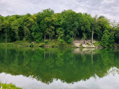 Ormandaki sakin bir gölün yüzeyindeki yeşil ağaçların yansıması. Resimli bir bahar manzarası.