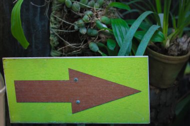 Yeşil arka plandaki boş yeşil tahta ok işareti bir botanik bahçesinin, seranın ya da ormanın girişini gösteriyor. Arka planda yeşil tropikal bitkiler.