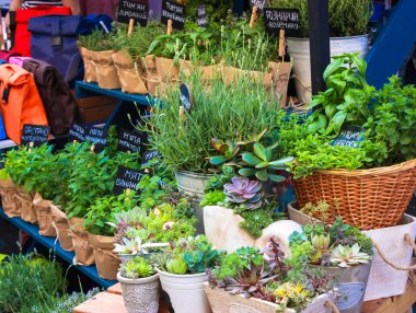 Çiftçi pazarında taze organik sebzeler ve bitkiler satılıyor. Nane, kekik, kimyon, biberiye ve diğer otlar. Yerel çiftçiler için bir tarım fuarında yenilebilir bitki satışları sergileniyor.