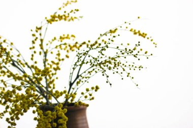 Güzel bir buket sarı mimoza çiçeği. Sarı bahar çiçekleri yol kenarındaki pencere pervazında. Golden Acacia çiçek açmış. Anneler günü için bir hediye, 8 Mart, Paskalya. Metin için yer.