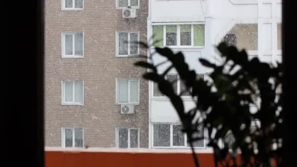 Los copos de nieve caen lentamente fuera de la ventana en invierno. Una vista de la casa y las ventanas — Vídeos de Stock