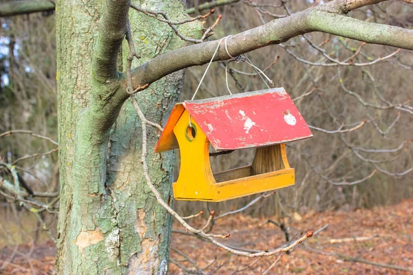 Tree house for feeding birds. Yellow and red wooden bird feeder hanging on a leafless tree branch in the fall or spring on a sunny day. Chestnut tree without leaves. Helping wild animals birds concept