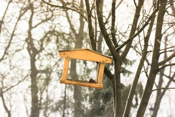 Bird Feeder Form Brown Wooden House Hanging Tree Blurred Background — Stock Photo, Image