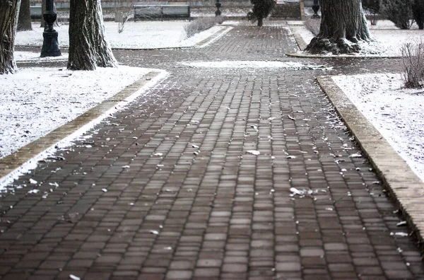街の公園の歩道上の舗装タイル、白い雪で粉末. — ストック写真