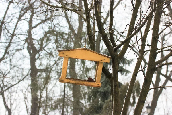 Alimentatore Uccelli Sotto Forma Una Casa Legno Marrone Appesa Albero — Foto Stock