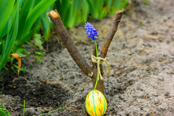 A small grave of a beloved cat or dog in a pet cemetery. Handmade wooden monument in the shape of the letter Y made of branches and a blue Mouse hyacinth flower. An Easter egg on the grave in spring.