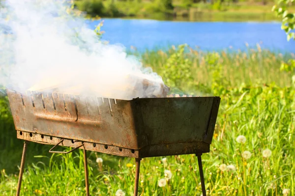 Barbecue Fumeur Brasero Dans Parc Cuisine Plein Air Barbecue Avec — Photo