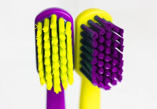 白い背景に2つのプラスチック多色の歯ブラシ 紫色と緑の毛を持つ歯ブラシの極端なマクロのクローズアップ カップルのための明るいカラフルな柔らかい歯ブラシ 歯科医療の概念 — ストック写真