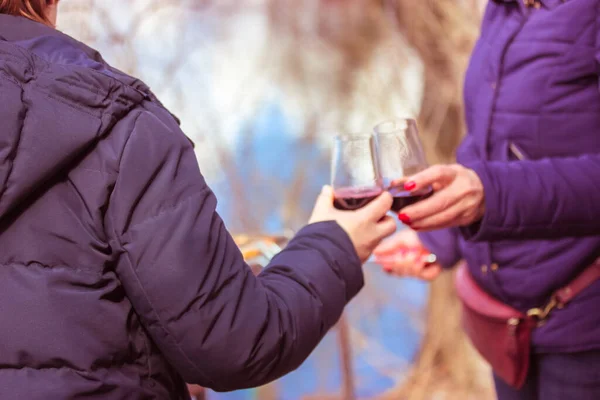 Clinking wine glasses. Two unrecognizable women raised glasses with red wine, toasting. Recreation on the nature in the spring. Friends drinking alcohol. Party, picnic, holidays, celebration concept.