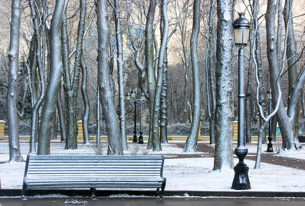 Městský Park Zimě Kmeny Holých Stromů Pokryté Bílým Sněhem Proti — Stock fotografie