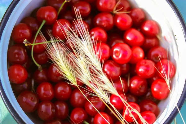 Cerises Acides Blé Récolte Cerises Douces Rouges Mûres Dans Bol — Photo